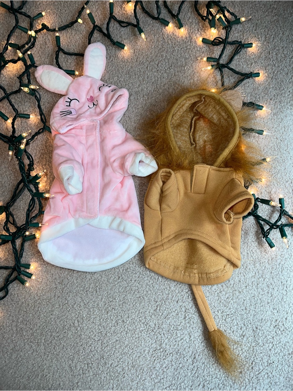Bundle of 8 Small & XS Dog Coats & Jackets! SO CUTE! Gently used, clean! - Picture 4 of 7